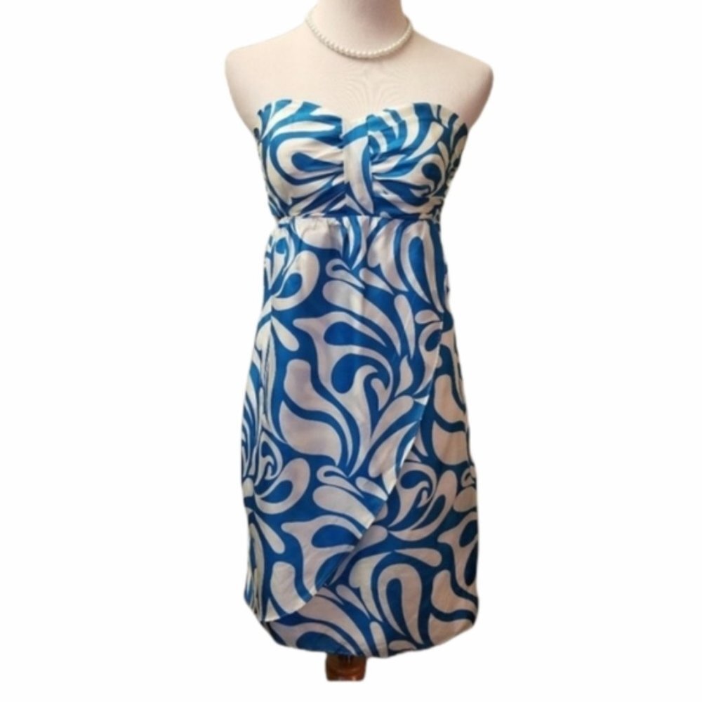 Liquid tube top 100% silk dress size 4 (38)